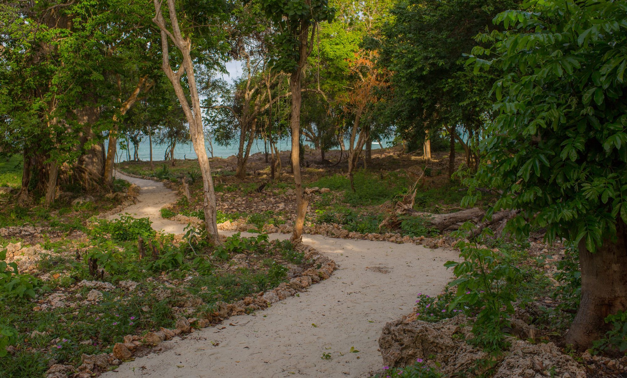 Kinondo Poa Resort Gazi Exterior photo
